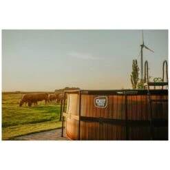 EXIT TOYS EXIT Wood Zwembad ø427x122cm Met Zandfilterpomp - Bruin Online Kopen? -EXIT TOYS Winkel 600x600 1194